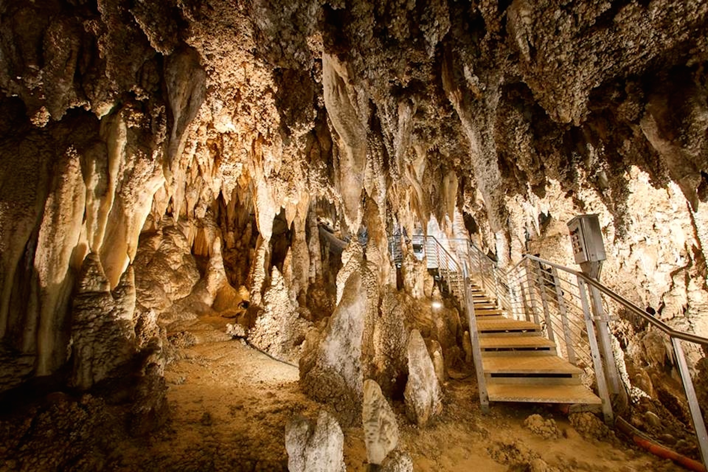 Grotta Turistica Antro del Corchia (2).jpg